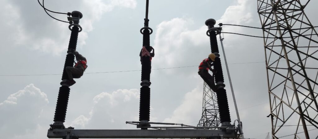 RTV coating application process