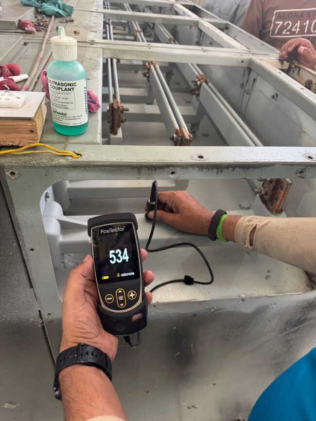 RTV coating PSPCL Jalandhar insulator protection
