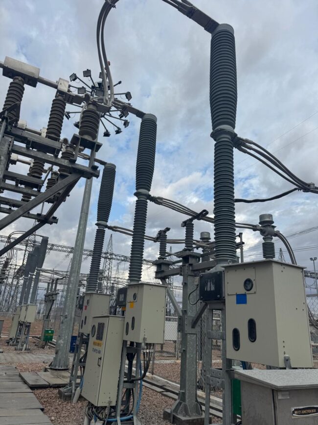 RTV coating Siemens Bhadla insulator protection