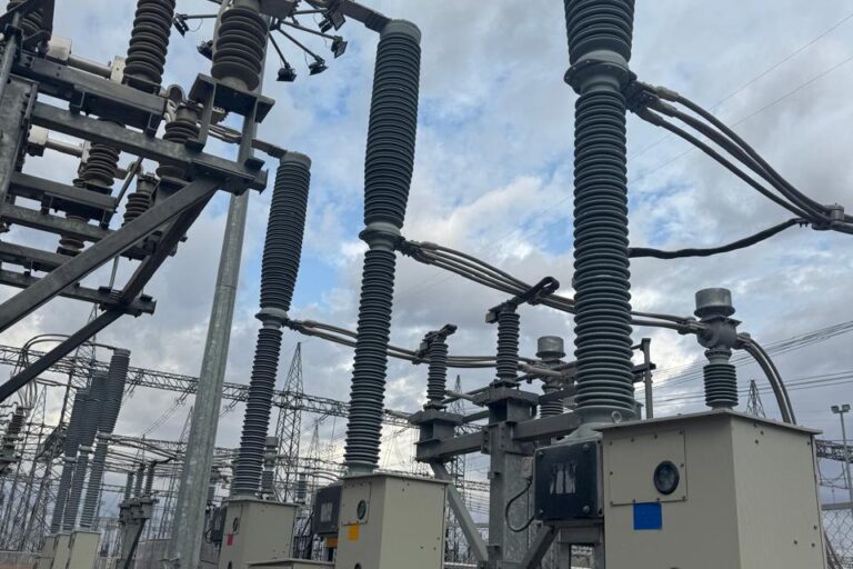 RTV coating Siemens Bhadla insulator protection