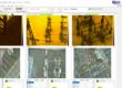Loose electrical connection detection using thermal imaging in a substation